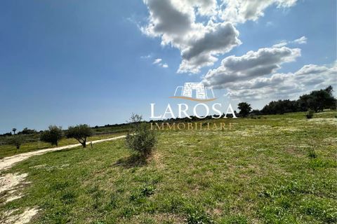 Villa i Vernole, Lecce, Vernole - € 500.000 | Ref: cod.090 - foto 40