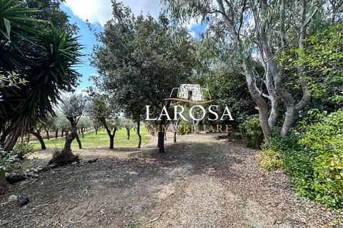 Villa i Vernole, Lecce, Vernole - € 500.000 | Ref: cod.090 - foto 44