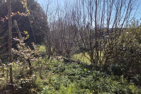 Landejendom i Guemene-sur-Scorff, Morbihan, Guemene-sur-Scorff - € 93.220 | Ref: 56075-2375 - foto 14