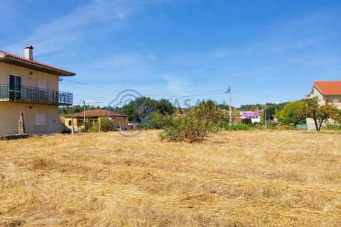 Byhus i Mirandela, Braganca, Mirandela - € 220.000 | Ref: 1103571 - foto 4