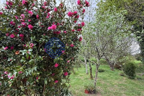 Byhus i Paredes de Coura, Viana do Castelo, Paredes de Coura - € 400.000 | Ref: 1103111 - foto 41