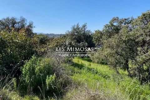 Helårsgrund i Frejus, Var, Frejus - € 280.000 | Ref: 7166 - foto 2