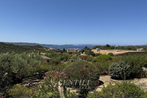 Villa i Arzachena, Sassari, Arzachena - € 1.900.000 | Ref: BS-216 - foto 23