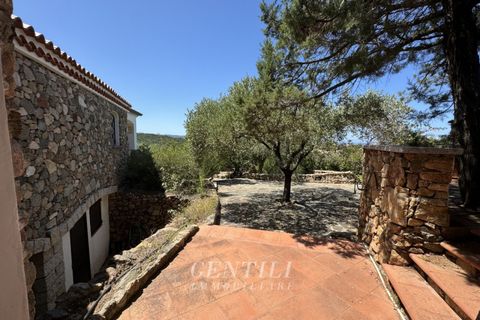 Villa i Arzachena, Sassari, Arzachena - € 1.900.000 | Ref: BS-216 - foto 24