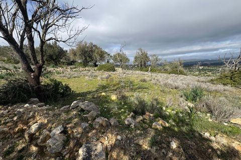 Terra a Paderne, Faro, Paderne - € 39.500 | Ref: AF158 - foto 2