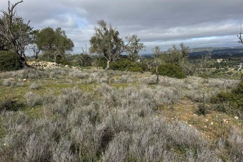 Terra a Paderne, Faro, Paderne - € 39.500 | Ref: AF158 - foto 4