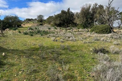 Terra a Paderne, Faro, Paderne - € 39.500 | Ref: AF158 - foto 5