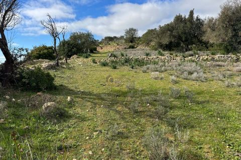 Terra a Paderne, Faro, Paderne - € 39.500 | Ref: AF158 - foto 6