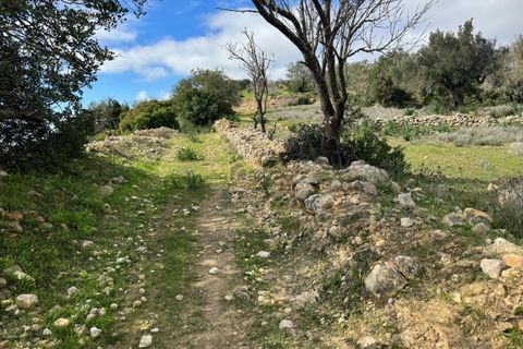 Terra a Paderne, Faro, Paderne - € 39.500 | Ref: AF158 - foto 7