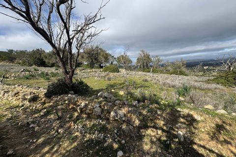 Terra a Paderne, Faro, Paderne - € 39.500 | Ref: AF158 - foto 10