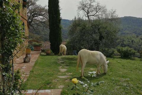 Villa i Moiano, Perugia, Moiano - € 1.100.000 | Ref: 11226RC25572-487108 - foto 4