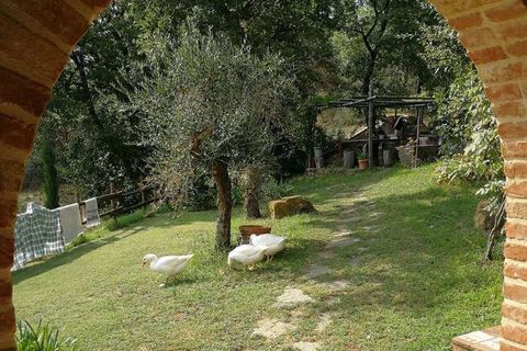 Villa i Moiano, Perugia, Moiano - € 1.100.000 | Ref: 11226RC25572-487108 - foto 17