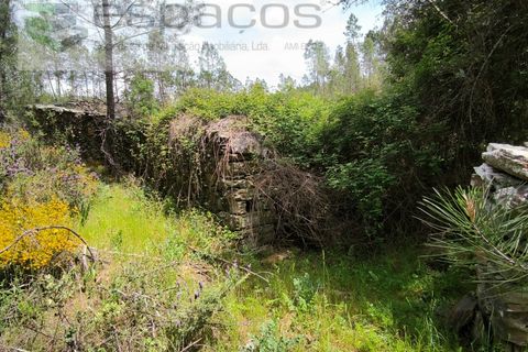 Helårsgrund i Castelo Branco, Castelo Branco, Castelo Branco - € 6.750 | Ref: 5568/EG - foto 6