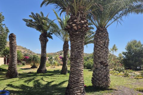 Landejendom i Mojacar, Almeria, Mojacar - € 695.000 | Ref: Mojacar1167 - foto 24