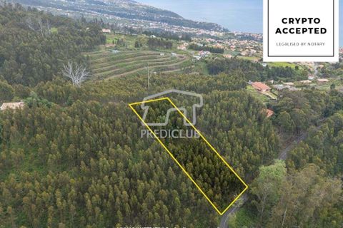 Helårsgrund i Calheta, Madeira, Calheta - € 58.500 | Ref: 11756-BS - foto 1