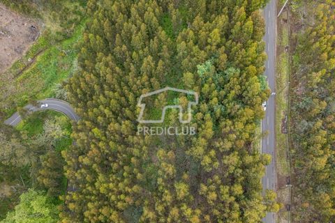 Helårsgrund i Calheta, Madeira, Calheta - € 58.500 | Ref: 11756-BS - foto 2