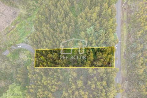 Helårsgrund i Calheta, Madeira, Calheta - € 58.500 | Ref: 11756-BS - foto 3