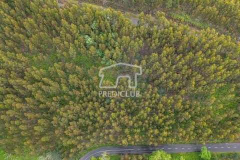 Helårsgrund i Calheta, Madeira, Calheta - € 58.500 | Ref: 11756-BS - foto 4