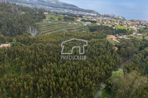 Helårsgrund i Calheta, Madeira, Calheta - € 58.500 | Ref: 11756-BS - foto 5
