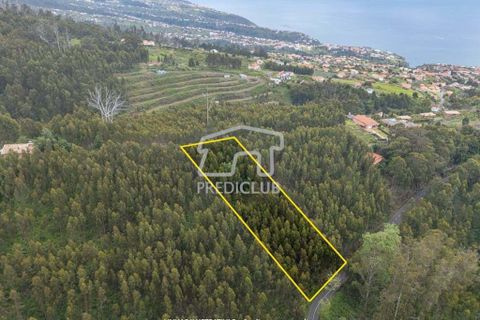 Helårsgrund i Calheta, Madeira, Calheta - € 58.500 | Ref: 11756-BS - foto 6