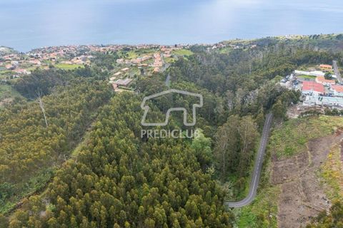 Helårsgrund i Calheta, Madeira, Calheta - € 58.500 | Ref: 11756-BS - foto 7
