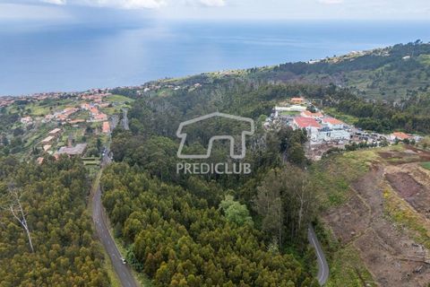 Helårsgrund i Calheta, Madeira, Calheta - € 58.500 | Ref: 11756-BS - foto 8