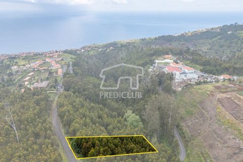 Helårsgrund i Calheta, Madeira, Calheta - € 58.500 | Ref: 11756-BS - foto 9