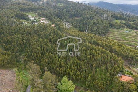 Helårsgrund i Calheta, Madeira, Calheta - € 58.500 | Ref: 11756-BS - foto 10