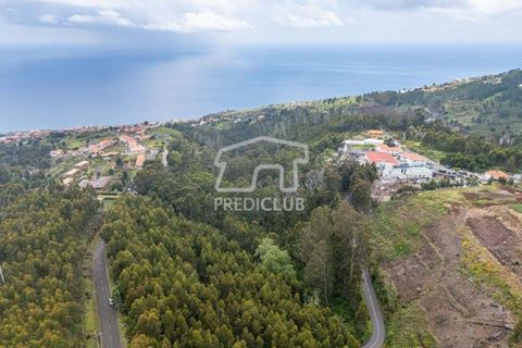 Helårsgrund i Calheta, Madeira, Calheta - € 58.500 | Ref: 11756-BS - foto 12