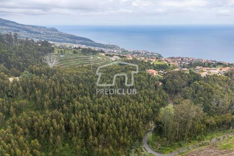 Helårsgrund i Calheta, Madeira, Calheta - € 58.500 | Ref: 11756-BS - foto 13