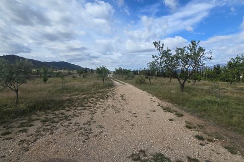 Masia a Salinas, Alicante, Salinas - € 189.000 | Ref: Salcam - foto 4