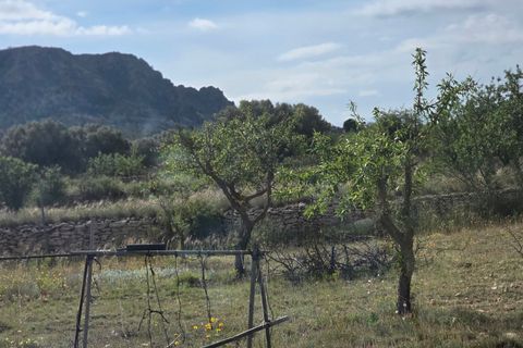 Masia a Salinas, Alicante, Salinas - € 189.000 | Ref: Salcam - foto 17