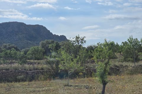 Masia a Salinas, Alicante, Salinas - € 189.000 | Ref: Salcam - foto 12