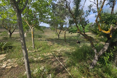 Masia a Salinas, Alicante, Salinas - € 189.000 | Ref: Salcam - foto 36