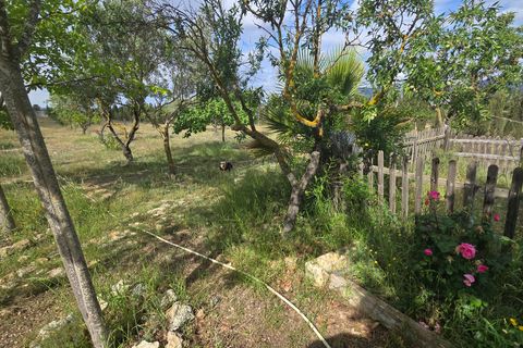 Masia a Salinas, Alicante, Salinas - € 189.000 | Ref: Salcam - foto 37