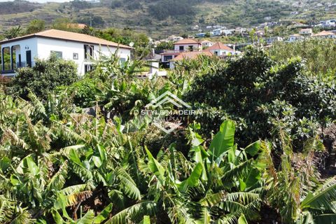 Helårsgrund i Calheta, Madeira, Calheta - € 395.000 | Ref: DS-050/25 - foto 5