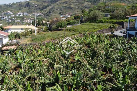 Helårsgrund i Calheta, Madeira, Calheta - € 395.000 | Ref: DS-050/25 - foto 6