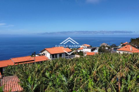 Helårsgrund i Calheta, Madeira, Calheta - € 395.000 | Ref: DS-050/25 - foto 9