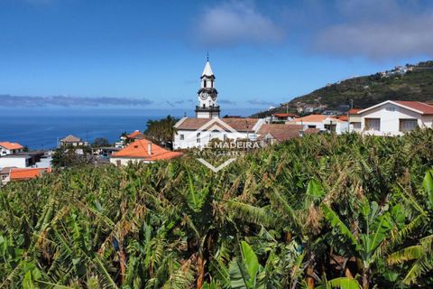 Helårsgrund i Calheta, Madeira, Calheta - € 395.000 | Ref: DS-050/25 - foto 10