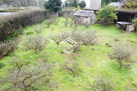 Helårsgrund i Calheta, Madeira, Calheta - € 110.000 | Ref: DS-054/25 - foto 3