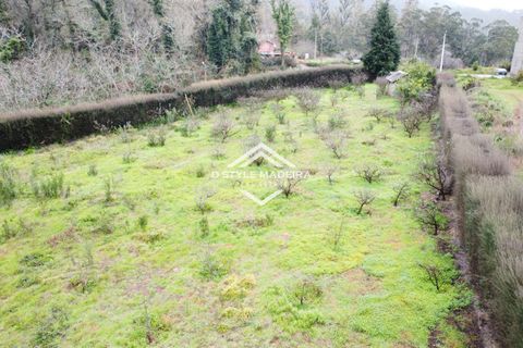 Helårsgrund i Calheta, Madeira, Calheta - € 110.000 | Ref: DS-054/25 - foto 4