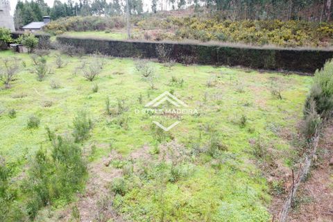 Helårsgrund i Calheta, Madeira, Calheta - € 110.000 | Ref: DS-054/25 - foto 7