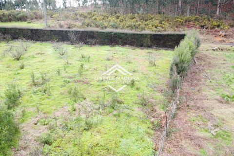 Helårsgrund i Calheta, Madeira, Calheta - € 110.000 | Ref: DS-054/25 - foto 8