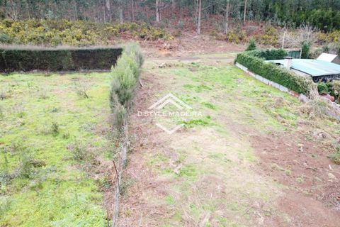 Helårsgrund i Calheta, Madeira, Calheta - € 110.000 | Ref: DS-054/25 - foto 9