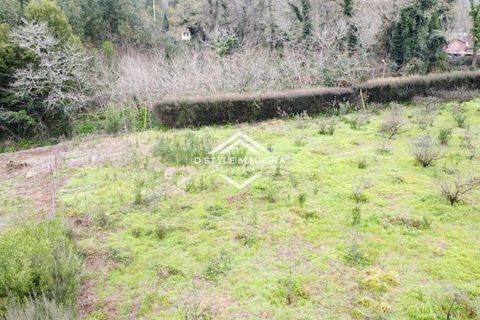 Helårsgrund i Calheta, Madeira, Calheta - € 110.000 | Ref: DS-054/25 - foto 10