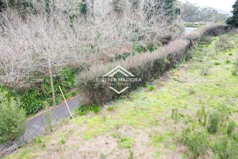 Helårsgrund i Calheta, Madeira, Calheta - € 110.000 | Ref: DS-054/25 - foto 11