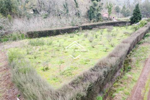 Helårsgrund i Calheta, Madeira, Calheta - € 110.000 | Ref: DS-054/25 - foto 12