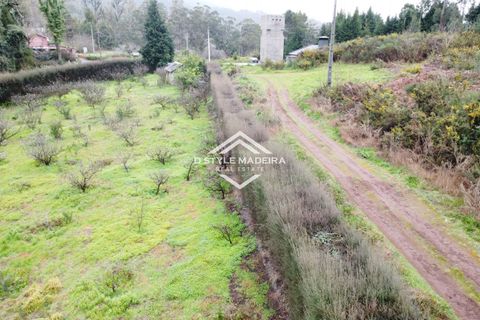 Helårsgrund i Calheta, Madeira, Calheta - € 110.000 | Ref: DS-054/25 - foto 13