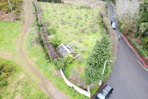 Helårsgrund i Calheta, Madeira, Calheta - € 110.000 | Ref: DS-054/25 - foto 15