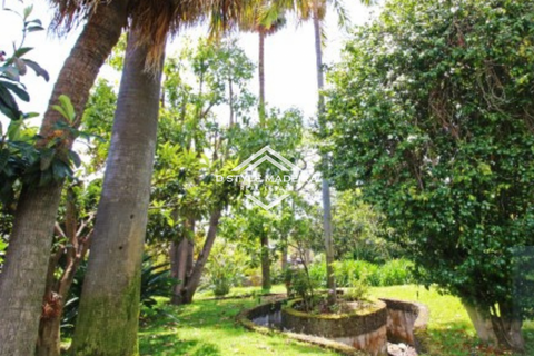 Villa i Funchal, Madeira, Funchal - € 5.250.000 | Ref: DS-035/25 - foto 38